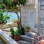 Apartment Cvita *