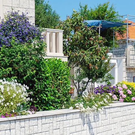 Cvita لومباردا