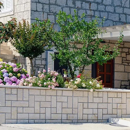 Appartement Cvita Lumbarda