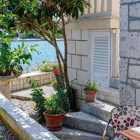 Apartment Cvita *