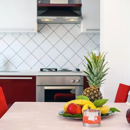 Apartment Cvita *