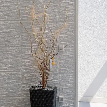 Apartment Cvita