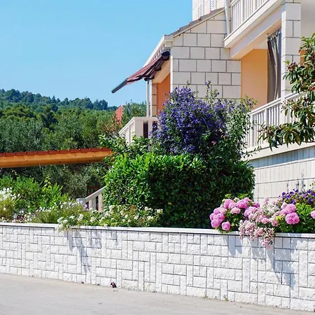 Apartment Cvita *