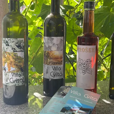 شقة Cvita لومباردا